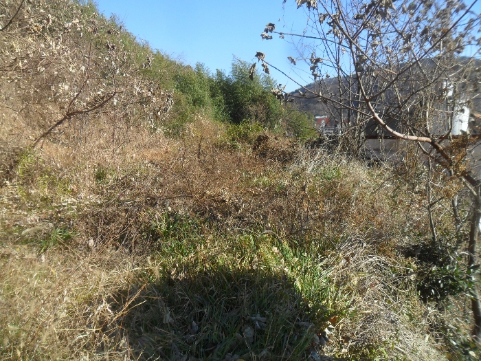 경남 창원시 마산합포구 구산면 대지 경매 물건 사진 6 · 2024타경2506
