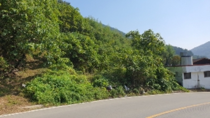 경남 창원시 마산합포구 구산면 대지 경매 물건 사진