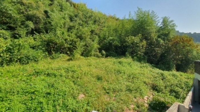 경남 창원시 마산합포구 구산면 대지 경매 물건 사진 4 · 2024타경2506