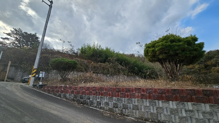 경남 함안군 가야읍 전 경매 물건 사진 6 · 2024타경3080