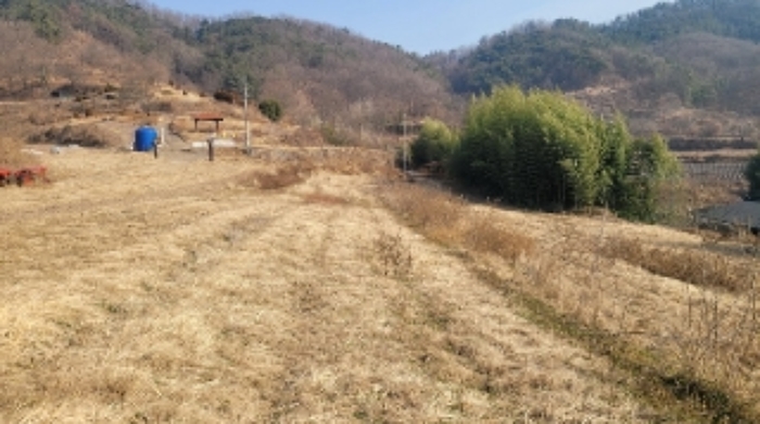 경남 함안군 법수면 대지 경매 물건 사진