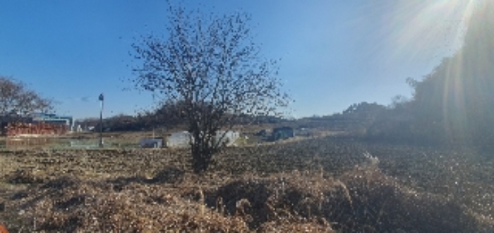 경남 함안군 칠서면 전 경매 물건 사진 2 · 2024타경456