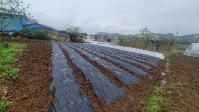 경남 함안군 군북면 답 경매 물건 사진