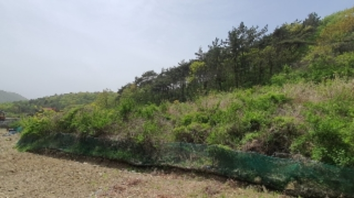 경남 창원시 마산합포구 진전면 답 경매 물건 사진 3 · 2024타경890