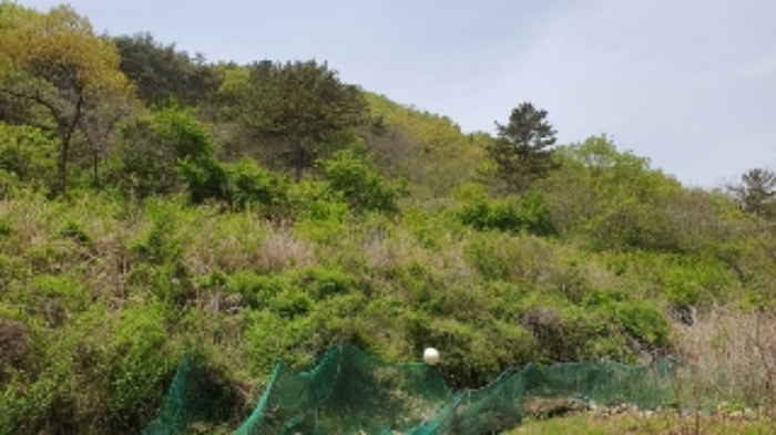 경남 창원시 마산합포구 진전면 답 경매 물건 사진 4 · 2024타경890