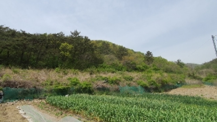 경남 창원시 마산합포구 진전면 답 경매 물건 사진 5 · 2024타경890