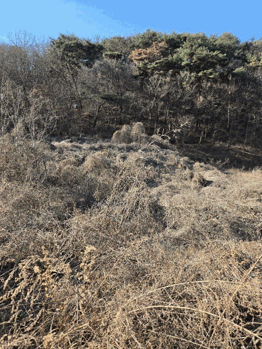 경상남도 함안군 군북면 박곡리 1085 전 경매 물건 사진