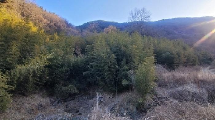 경남 함안군 군북면 답 경매 물건 사진