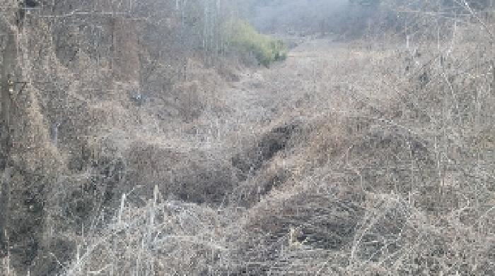 경남 함안군 군북면 전 경매 물건 사진 5 · 2025타경167