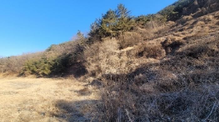 경남 함안군 군북면 전 경매 물건 사진 6 · 2025타경167