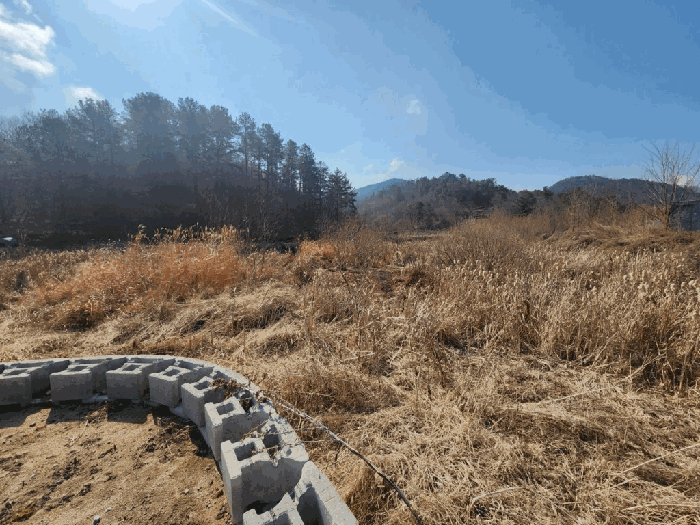 경상남도 함안군 산인면 입곡리 951 답 경매 물건 사진
