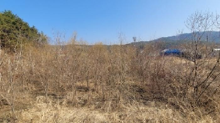 경남 함안군 산인면 답 경매 물건 사진 3 · 2025타경170