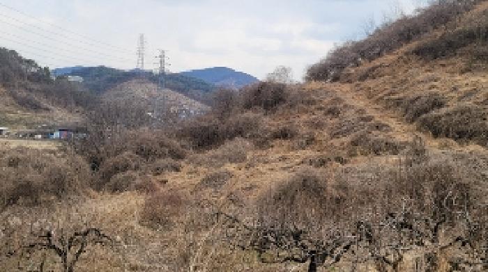 경남 함안군 칠북면 과수원 경매 물건 사진 4 · 2025타경177