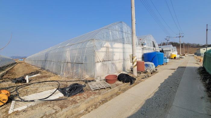 경남 함안군 법수면 답 경매 물건 사진