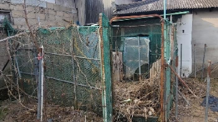 경남 함안군 산인면 대지 경매 물건 사진 4 · 2025타경20211