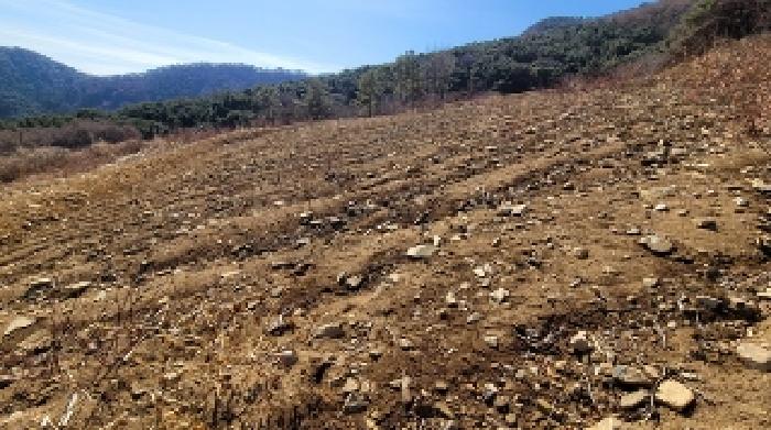 경남 함안군 여항면 과수원 경매 물건 사진