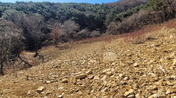 경남 함안군 여항면 과수원 경매 물건 사진 3 · 2025타경20353