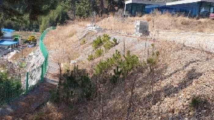 경남 창원시 마산합포구 덕동동 상업 99 경매 물건 사진 5 · 2025타경20405
