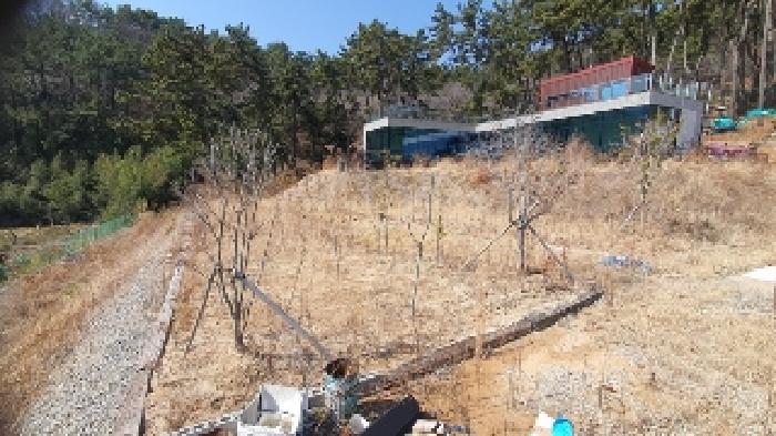 경남 창원시 마산합포구 덕동동 상업 99 경매 물건 사진