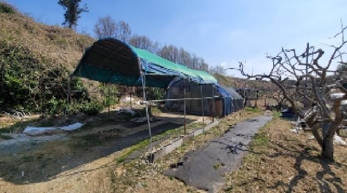 경남 함안군 칠서면 전 경매 물건 사진 3 · 2025타경20413