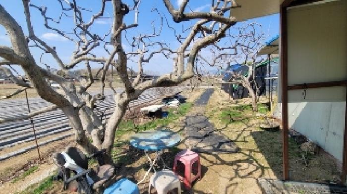 경남 함안군 칠서면 전 경매 물건 사진 6 · 2025타경20413