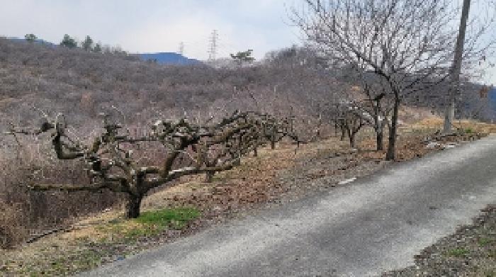 경남 함안군 칠북면 전 경매 물건 사진