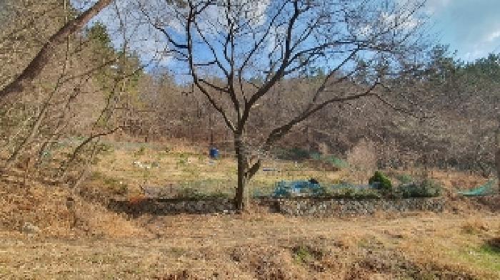 경남 창원시 마산합포구 구산면 전 경매 물건 사진