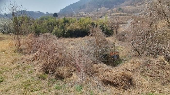 경남 창원시 마산합포구 진동면 답 경매 물건 사진