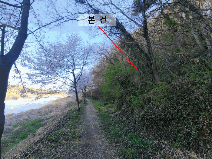 경남 함안군 가야읍 임야 경매 물건 사진 4 · 2025타경20479
