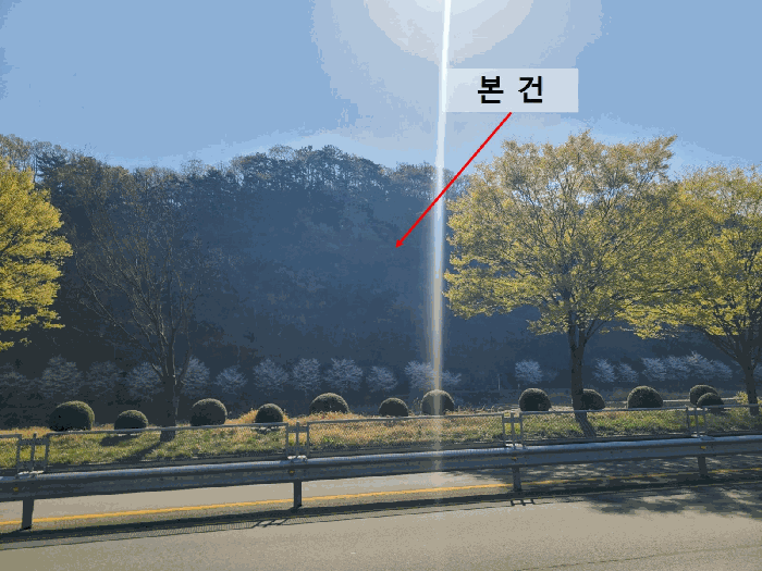 경남 함안군 가야읍 임야 경매 물건 사진 6 · 2025타경20479