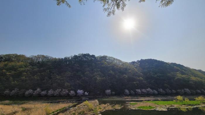 경남 함안군 가야읍 임야 경매 물건 사진