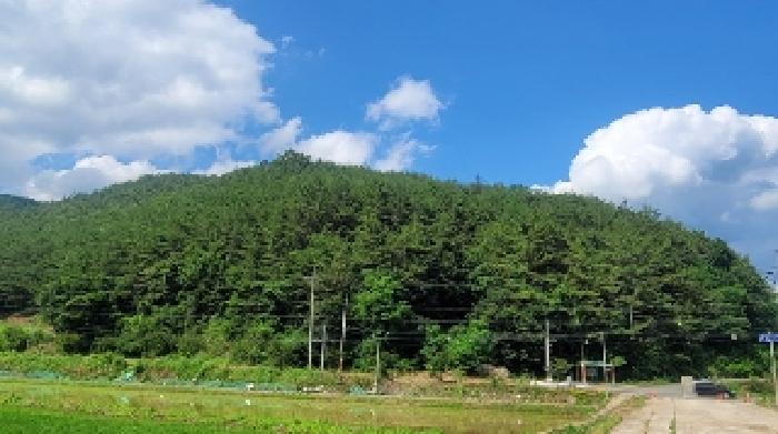 경남 의령군 대의면 임야 경매 물건 사진 2 · 2025타경20631