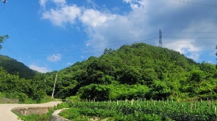 경남 의령군 대의면 임야 경매 물건 사진 6 · 2025타경20631