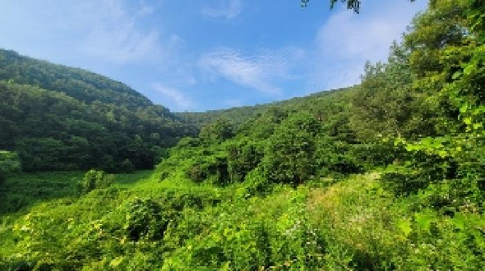 경남 의령군 지정면 전 경매 물건 사진