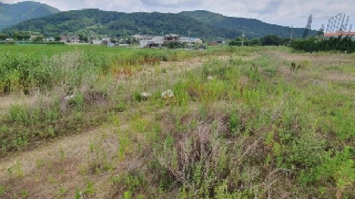 경남 창원시 마산합포구 진동면 답 경매 물건 사진