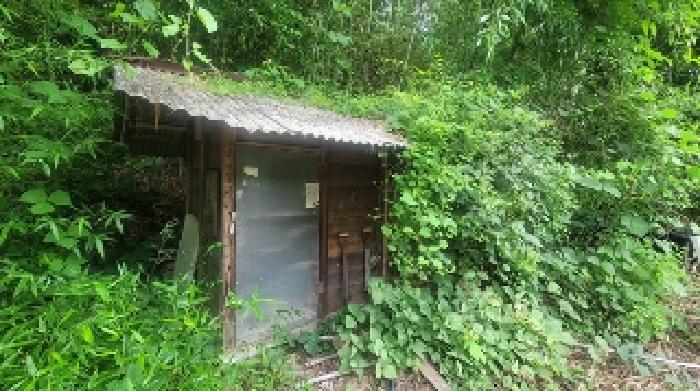 경남 의령군 정곡면 단독주택 경매 물건 사진 4 · 2025타경20716