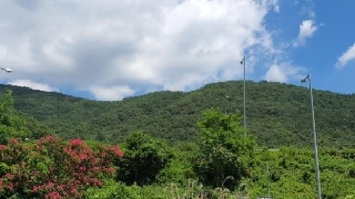 경남 창원시 마산합포구 진북면 임야 경매 물건 사진