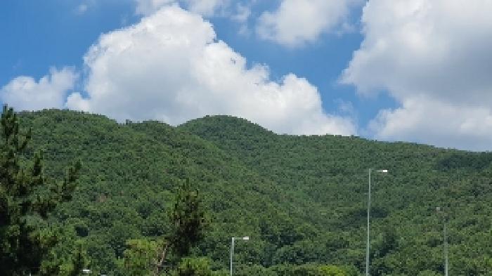 경남 창원시 마산합포구 진북면 임야 경매 물건 사진 2 · 2025타경20728