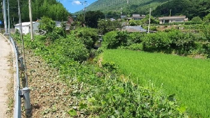 경남 창원시 마산합포구 진북면 임야 경매 물건 사진 3 · 2025타경20728