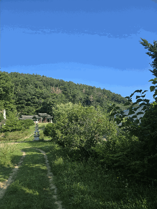 경남 창원시 마산합포구 진북면 임야 경매 물건 사진 6 · 2025타경20773