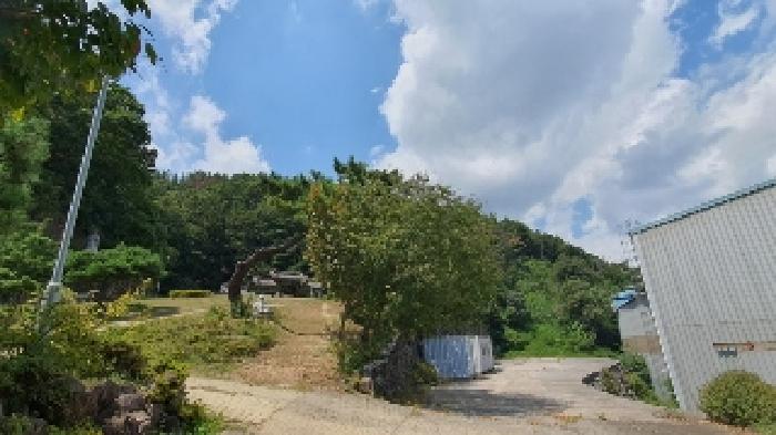 경남 창원시 마산합포구 진북면 임야 경매 물건 사진 2 · 2025타경20773