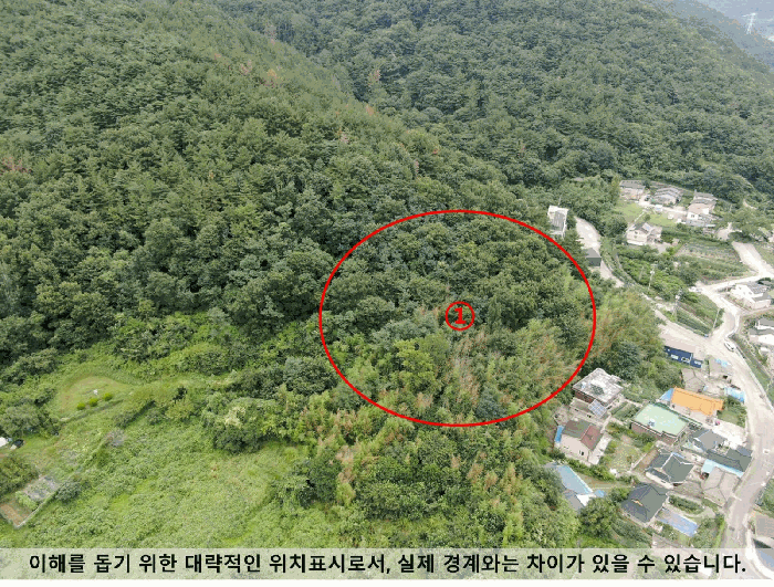 경남 함안군 칠원읍 답 경매 물건 사진 6 · 2025타경20784