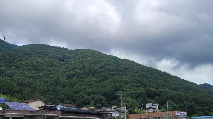 경남 함안군 칠원읍 답 경매 물건 사진