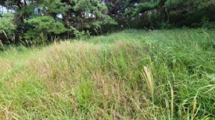 경남 함안군 군북면 임야 경매 물건 사진 6 · 2025타경20791