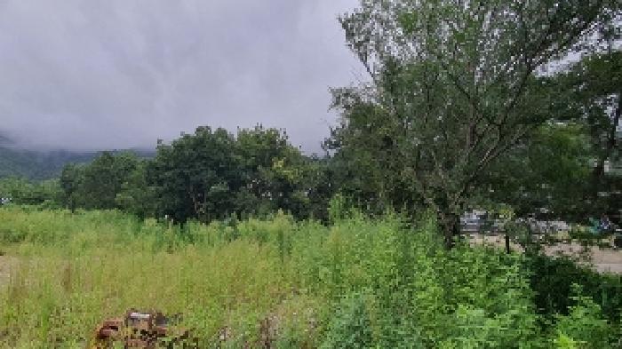 경남 창원시 마산합포구 진북면 답 경매 물건 사진 6 · 2025타경20820
