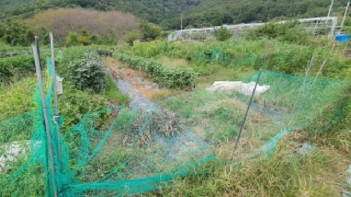 경남 창원시 마산합포구 덕동동 답 경매 물건 사진 4 · 2025타경20826