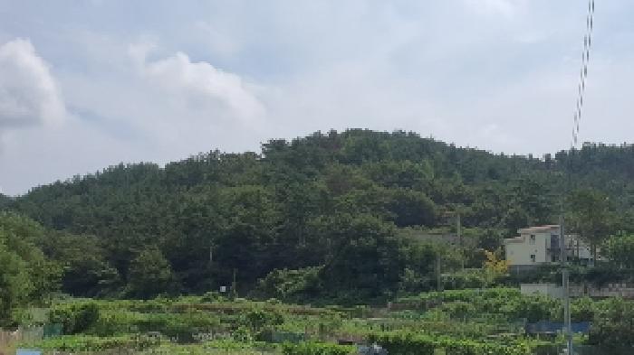경남 창원시 마산합포구 구산면 전 경매 물건 사진