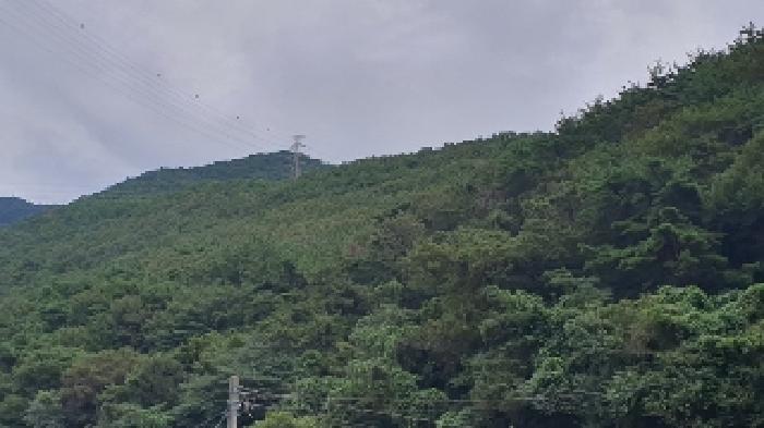 경남 창원시 마산합포구 진동면 임야 경매 물건 사진