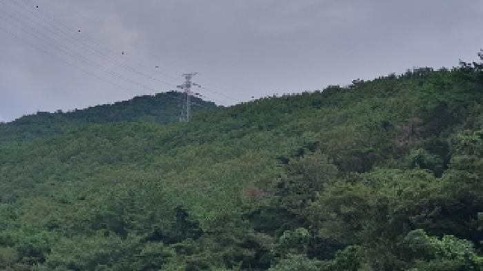 경남 창원시 마산합포구 진동면 임야 경매 물건 사진 2 · 2025타경20830