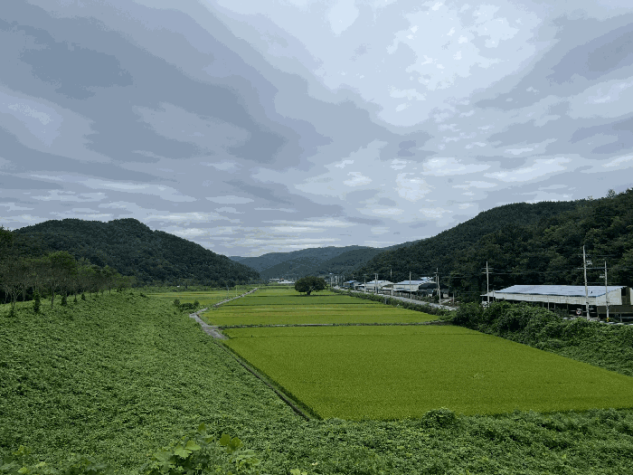 경남 의령군 정곡면 전답 경매 물건 사진 6 · 2025타경20839